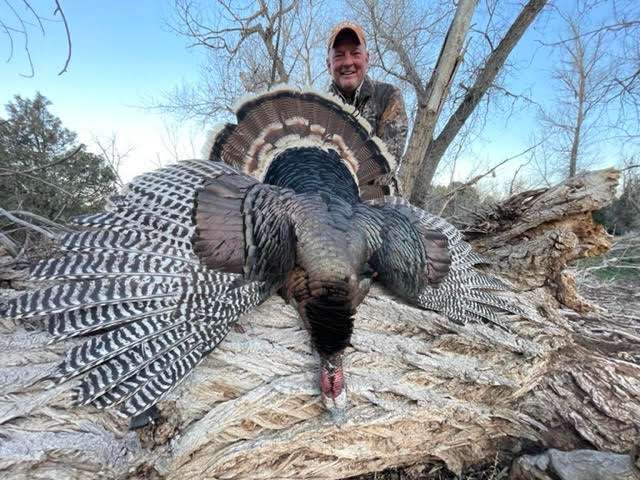 Turkey Hunts Colorado Turkey Hunts